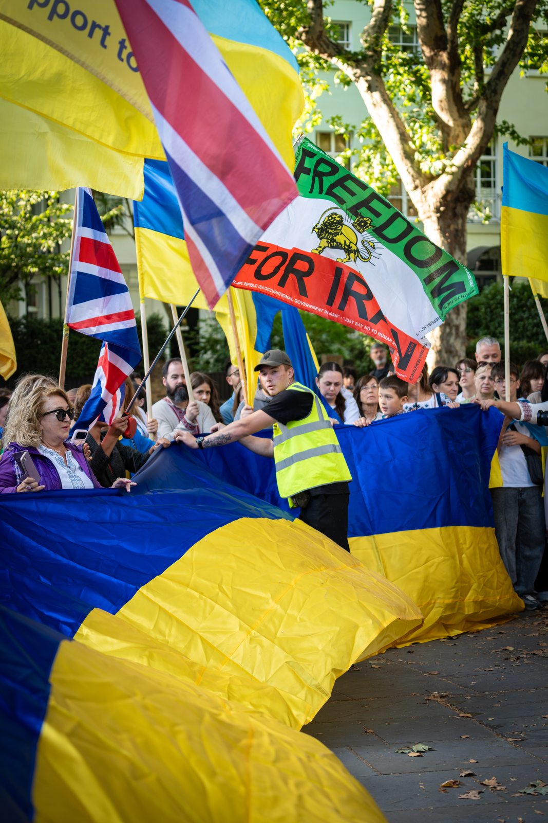 Ukraine Independence Day in London